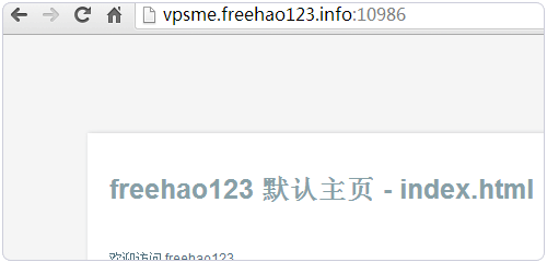 VPS.me绑定域名访问